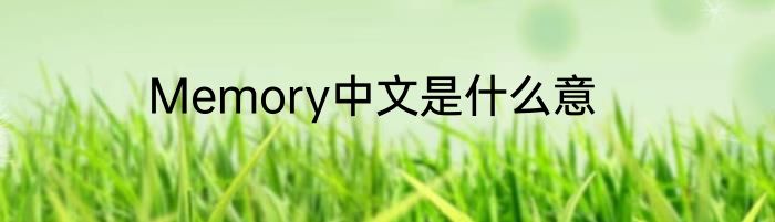 Memory中文是什么意