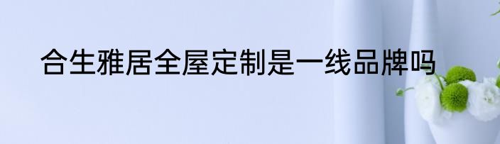 合生雅居全屋定制是一线品牌吗