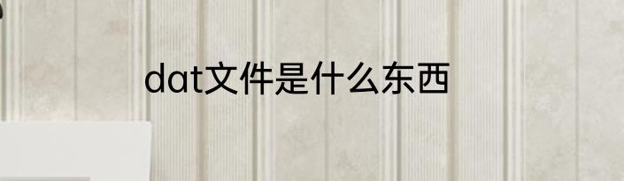 dat文件是什么东西