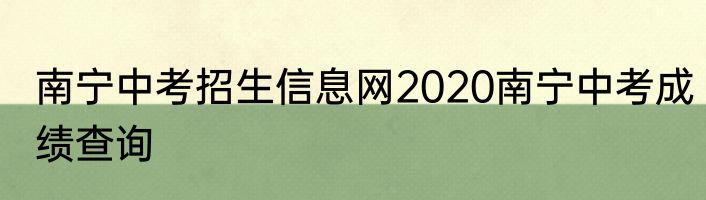 南宁中考招生信息网2020南宁中考成绩查询