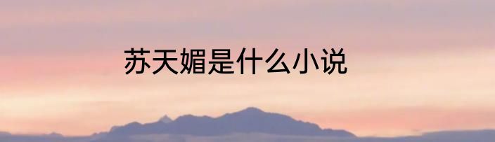 苏天媚是什么小说