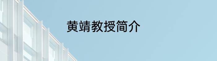 黄靖教授简介