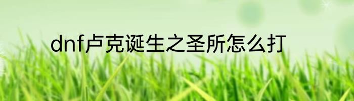 dnf卢克诞生之圣所怎么打