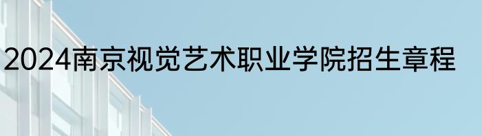 2024南京视觉艺术职业学院招生章程
