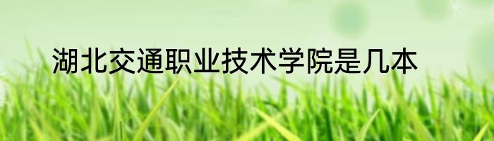 湖北交通职业技术学院是几本