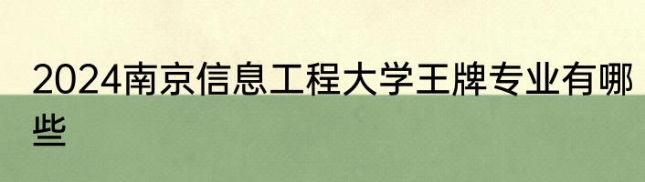 2024南京信息工程大学王牌专业有哪些