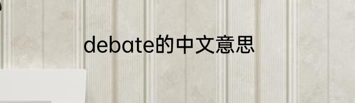 debate的中文意思