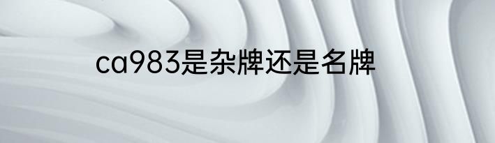 ca983是杂牌还是名牌