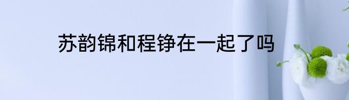 苏韵锦和程铮在一起了吗