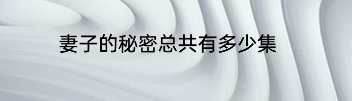妻子的秘密总共有多少集