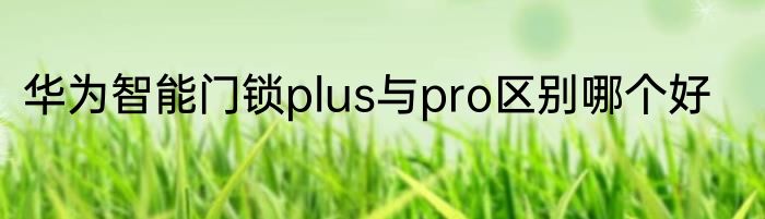 华为智能门锁plus与pro区别哪个好