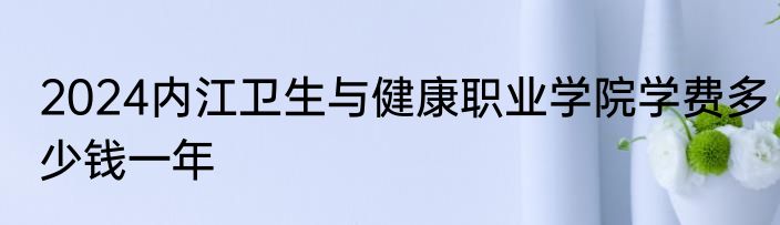 2024内江卫生与健康职业学院学费多少钱一年