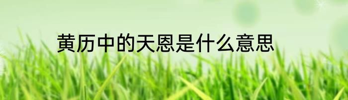 黄历中的天恩是什么意思