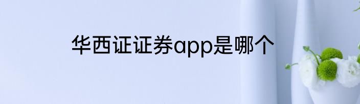 华西证证券app是哪个