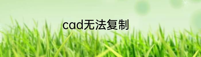 cad无法复制