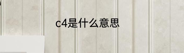 c4是什么意思
