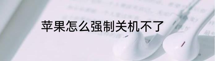 苹果怎么强制关机不了