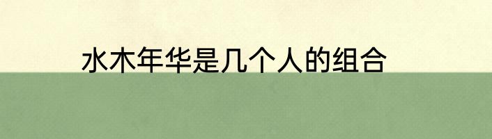 水木年华是几个人的组合