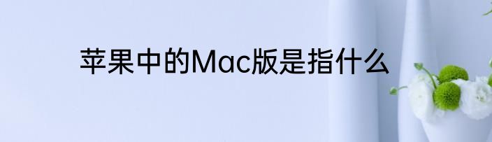 苹果中的Mac版是指什么