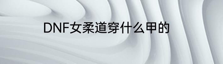 DNF女柔道穿什么甲的