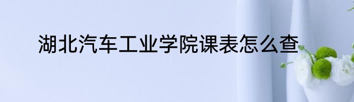 湖北汽车工业学院课表怎么查