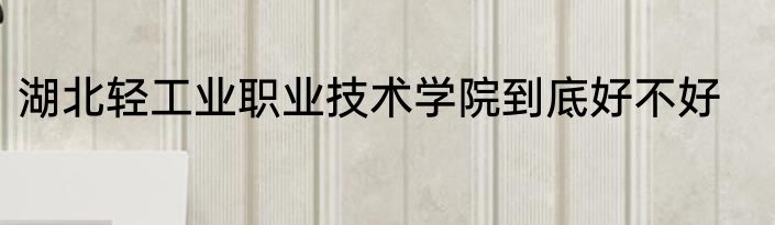 湖北轻工业职业技术学院到底好不好