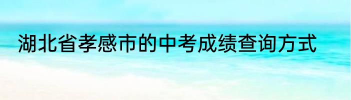 湖北省孝感市的中考成绩查询方式