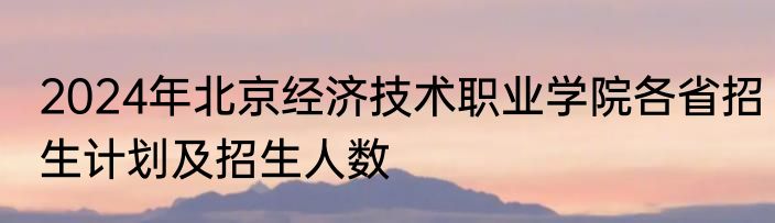2024年北京经济技术职业学院各省招生计划及招生人数