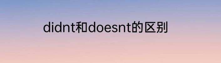 didnt和doesnt的区别
