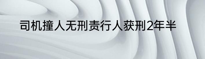 司机撞人无刑责行人获刑2年半