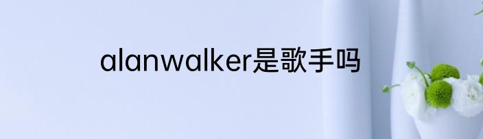 alanwalker是歌手吗