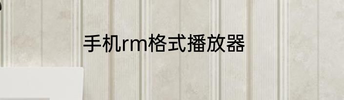 手机rm格式播放器