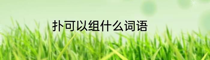 扑可以组什么词语