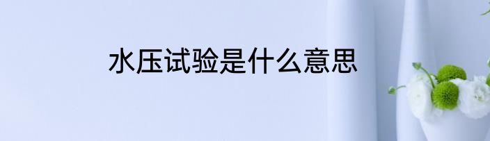 水压试验是什么意思
